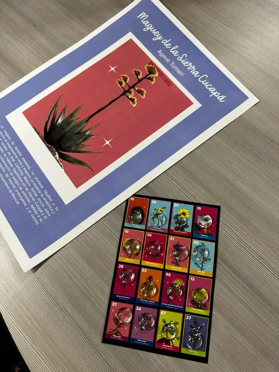 loteria-de-plantas-nativas-2-1152x1536