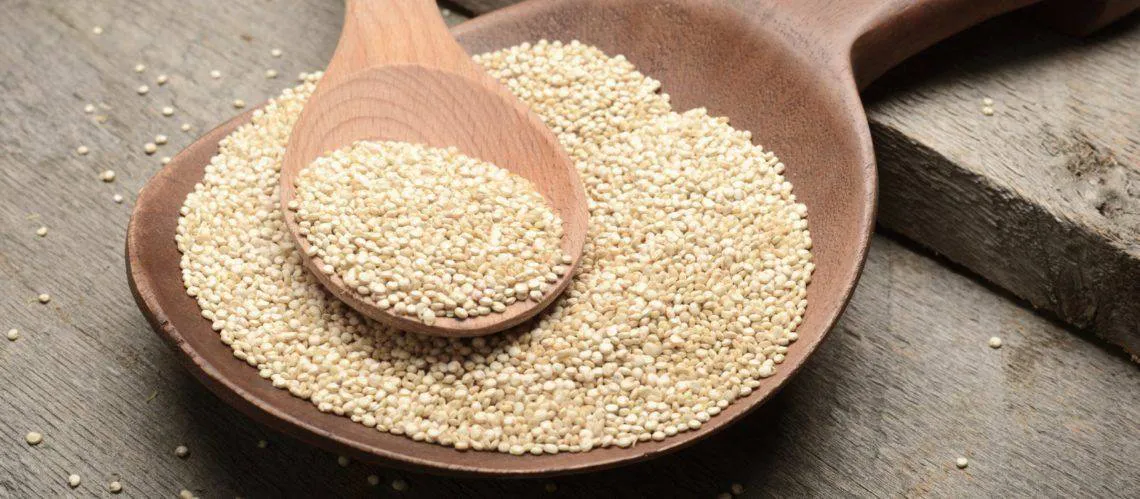 558907995_122137245848898185_4598336722943068462_n