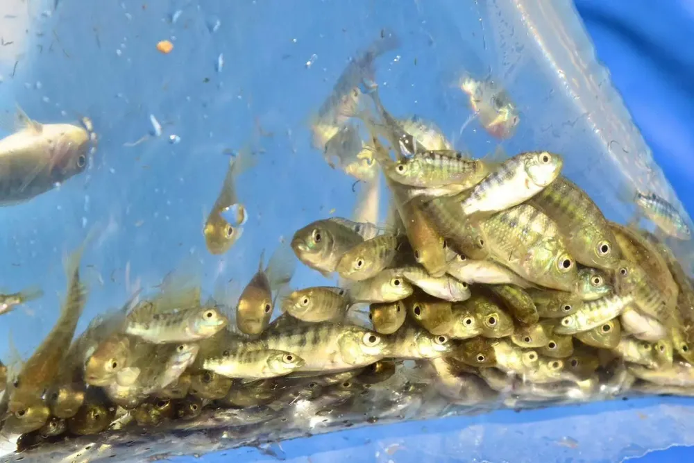 558869148_122137749770898185_4937610009574445344_n