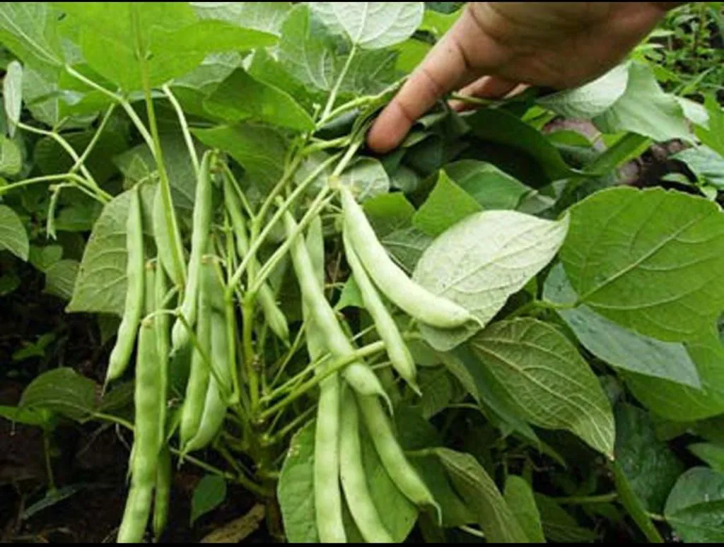 565209700_122140170482898185_1003278223685012509_n