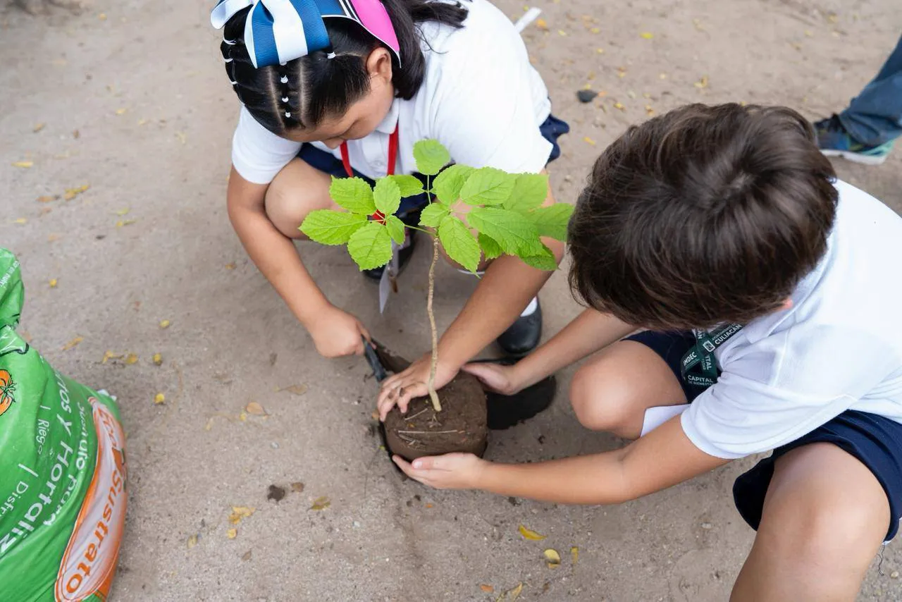 559477853_122137751954898185_2639860459244529074_n