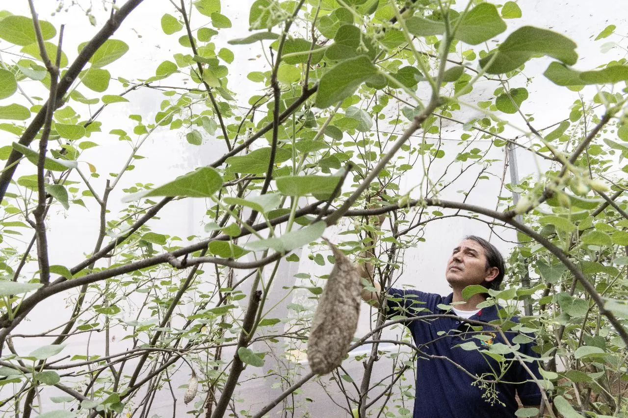 560047029_122138558114898185_3072157107351934089_n